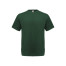 Bottle green